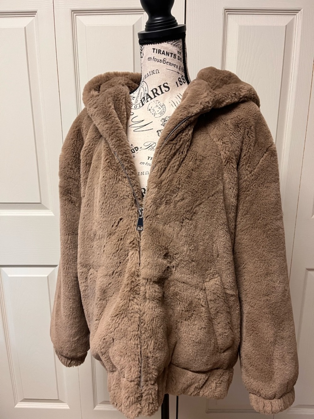 Rachel Zoe Cozy Plush Hooded Zip Jacket - Taupe Brown